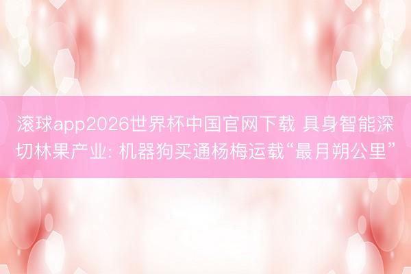 滚球app2026世界杯中国官网下载 具身智能深切林果产业: 机器狗买通杨梅运载“最月朔公里”