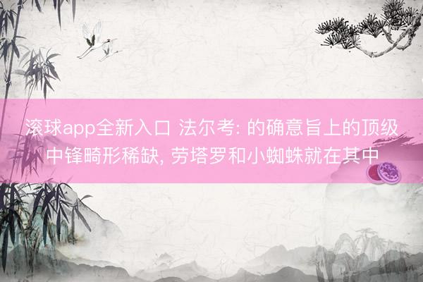 滚球app全新入口 法尔考: 的确意旨上的顶级中锋畸形稀缺, 劳塔罗和小蜘蛛就在其中