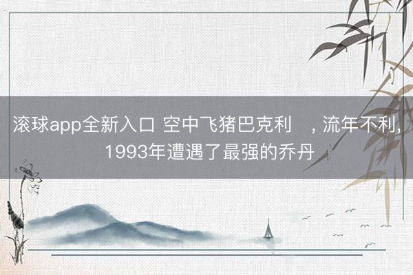 滚球app全新入口 空中飞猪巴克利‌, 流年不利, 1993年遭遇了最强的乔丹