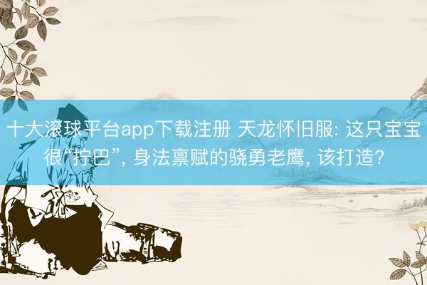 十大滚球平台app下载注册 天龙怀旧服: 这只宝宝很“拧巴”, 身法禀赋的骁勇老鹰, 该打造?