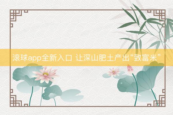 滚球app全新入口 让深山肥土产出“致富米”