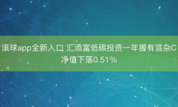 滚球app全新入口 汇添富低碳投资一年握有混杂C净值下落0.51%