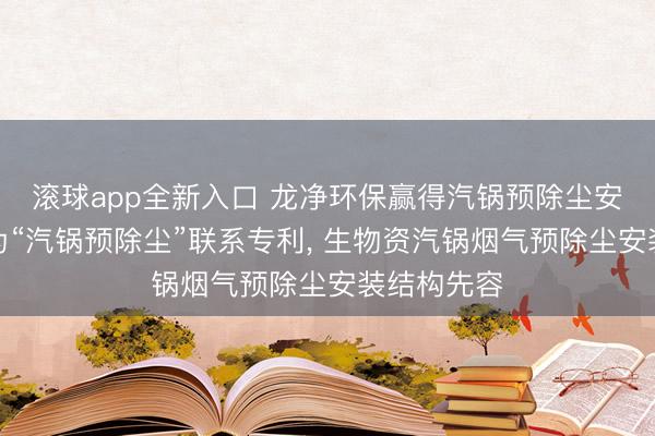 滚球app全新入口 龙净环保赢得汽锅预除尘安装可简化为“汽锅预除尘”联系专利, 生物资汽锅烟气预除尘安装结构先容