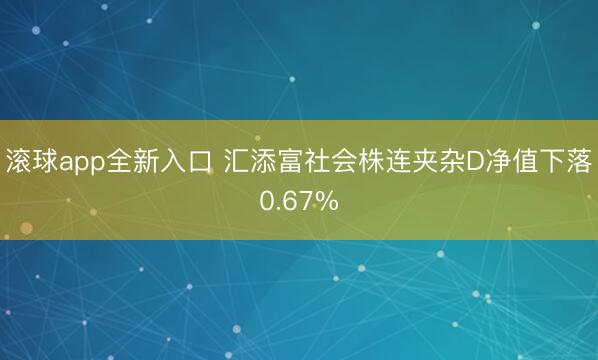 滚球app全新入口 汇添富社会株连夹杂D净值下落0.67%