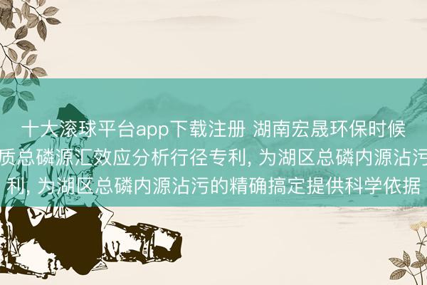 十大滚球平台app下载注册 湖南宏晟环保时候商榷院苦求一种湖区底质总磷源汇效应分析行径专利, 为湖区总磷内源沾污的精确搞定提供科学依据