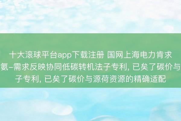 十大滚球平台app下载注册 国网上海电力肯求基于碳价信号的电转氨-需求反映协同低碳转机法子专利, 已矣了碳价与源荷资源的精确适配