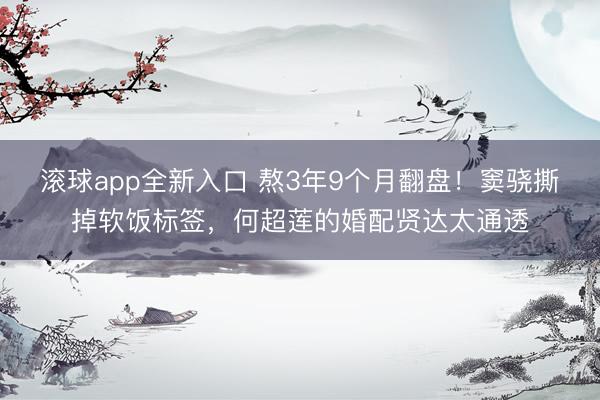 滚球app全新入口 熬3年9个月翻盘！窦骁撕掉软饭标签，何超莲的婚配贤达太通透