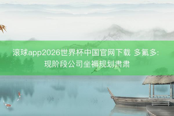 滚球app2026世界杯中国官网下载 多氟多: 现阶段公司坐褥规划肃肃