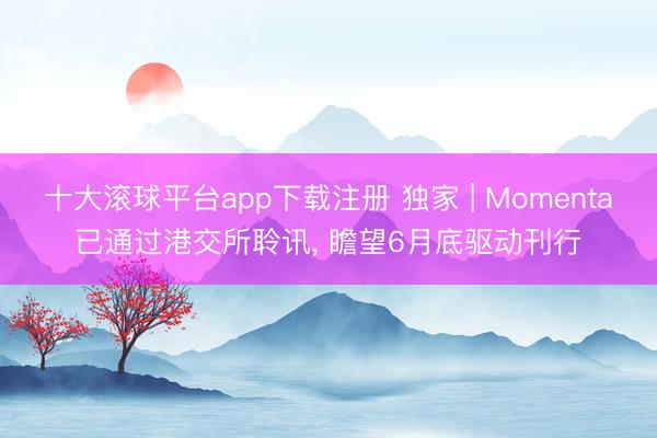 十大滚球平台app下载注册 独家 | Momenta已通过港交所聆讯， 瞻望6月底驱动刊行